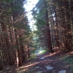 2014-08-09 07_55_28