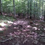 2014-08-22 15_14_00