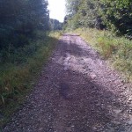 2014-08-28 10_16_12