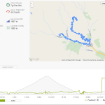 elbrus-d1
