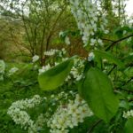 IMG_20160502_160544_HDR