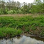 IMG_20160502_161807_HDR