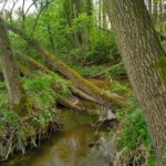 IMG_20160502_161815_HDR