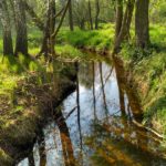 IMG_20160502_165640_HDR