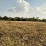 IMG_20160502_171115_HDR