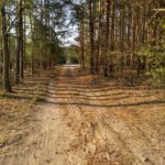 IMG_20160502_171152_HDR