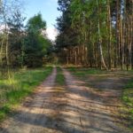 IMG_20160502_171736_HDR