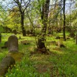 IMG_20160503_135318_HDR