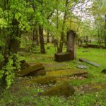 IMG_20160503_135907_HDR