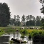 IMG_20160521_124047_HDR