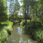 IMG_20160619_112011