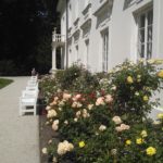 IMG_20160619_113524